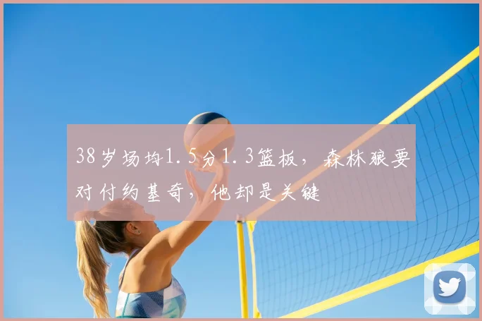 38岁场均1.5分1.3篮板，森林狼要对付约基奇，他却是关键