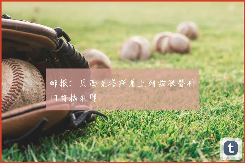 邮报：贝西克塔斯看上利兹联替补门将梅利耶